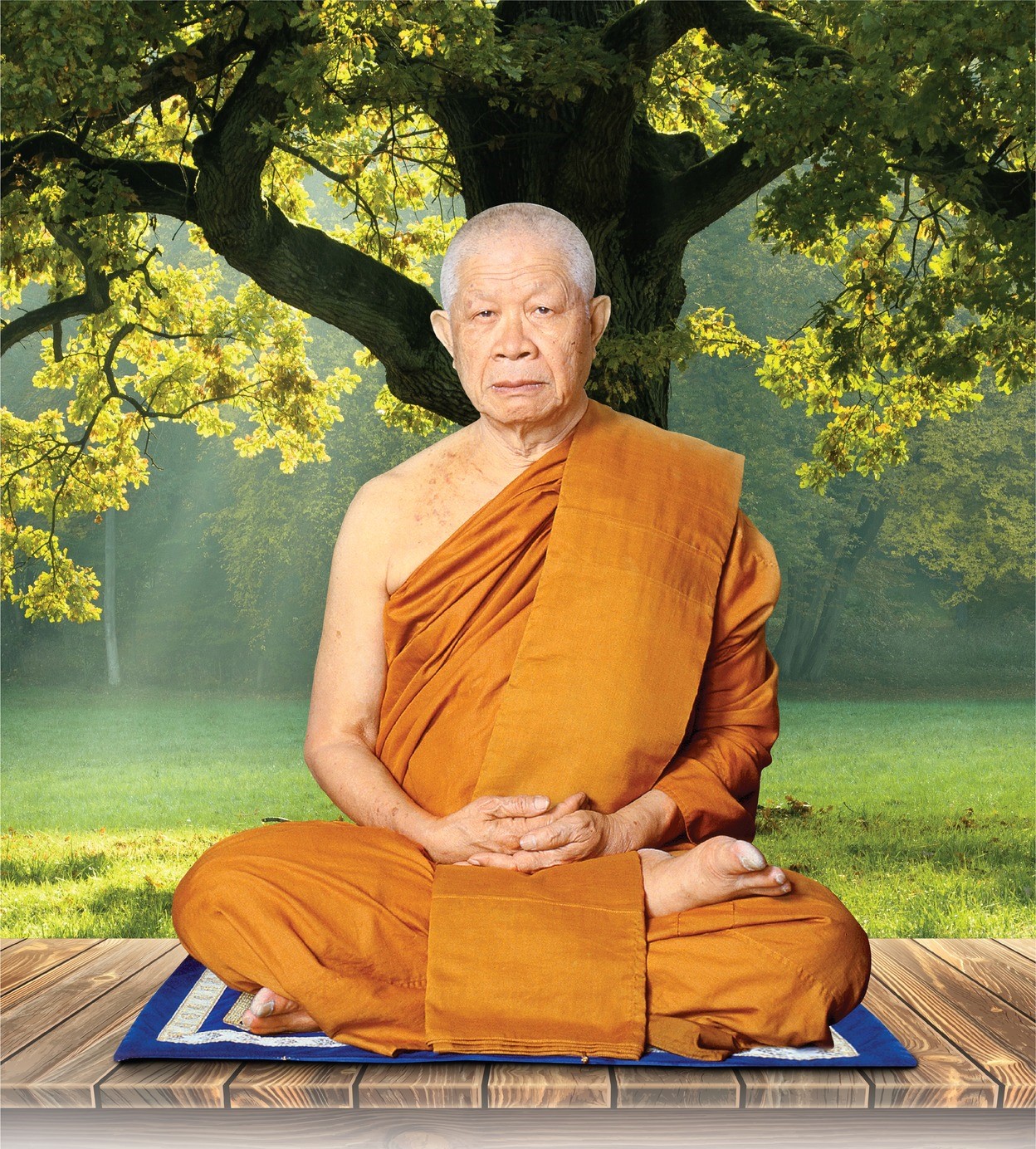 เจ้าประคุณสมเด็จพระญาณวชิโรดม_(หลวงพ่อวิริยังค์_สิรินฺธโร).jpg