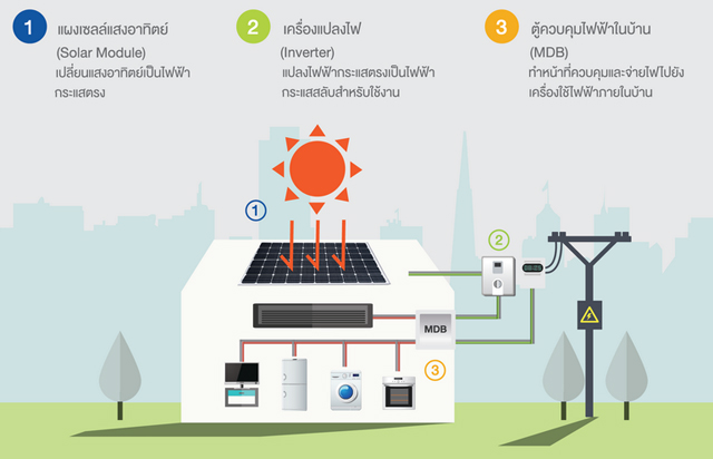 03Principles_Solar_Roof.jpg