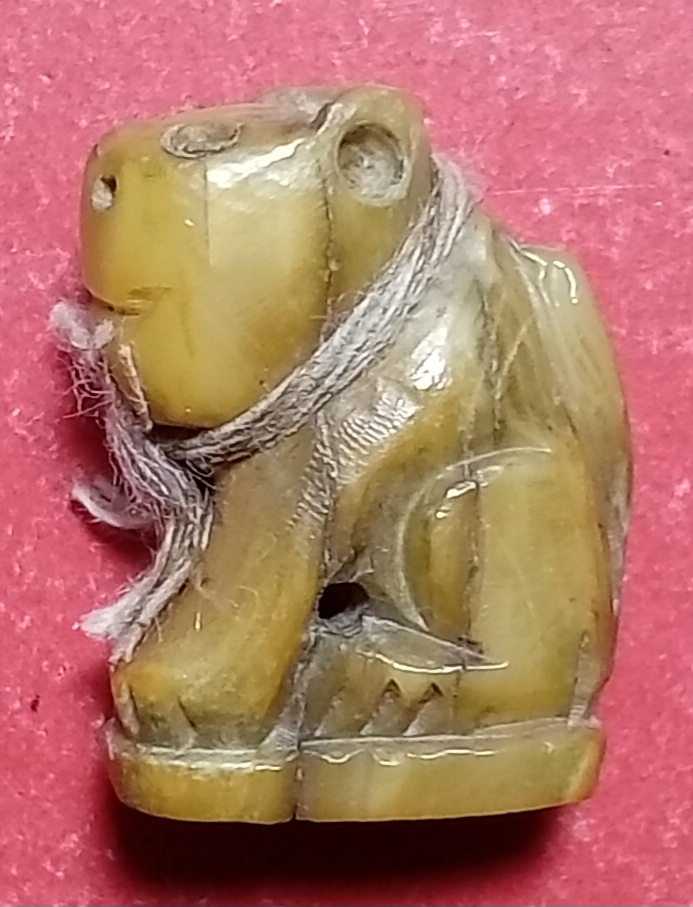 20260311_115108.jpg