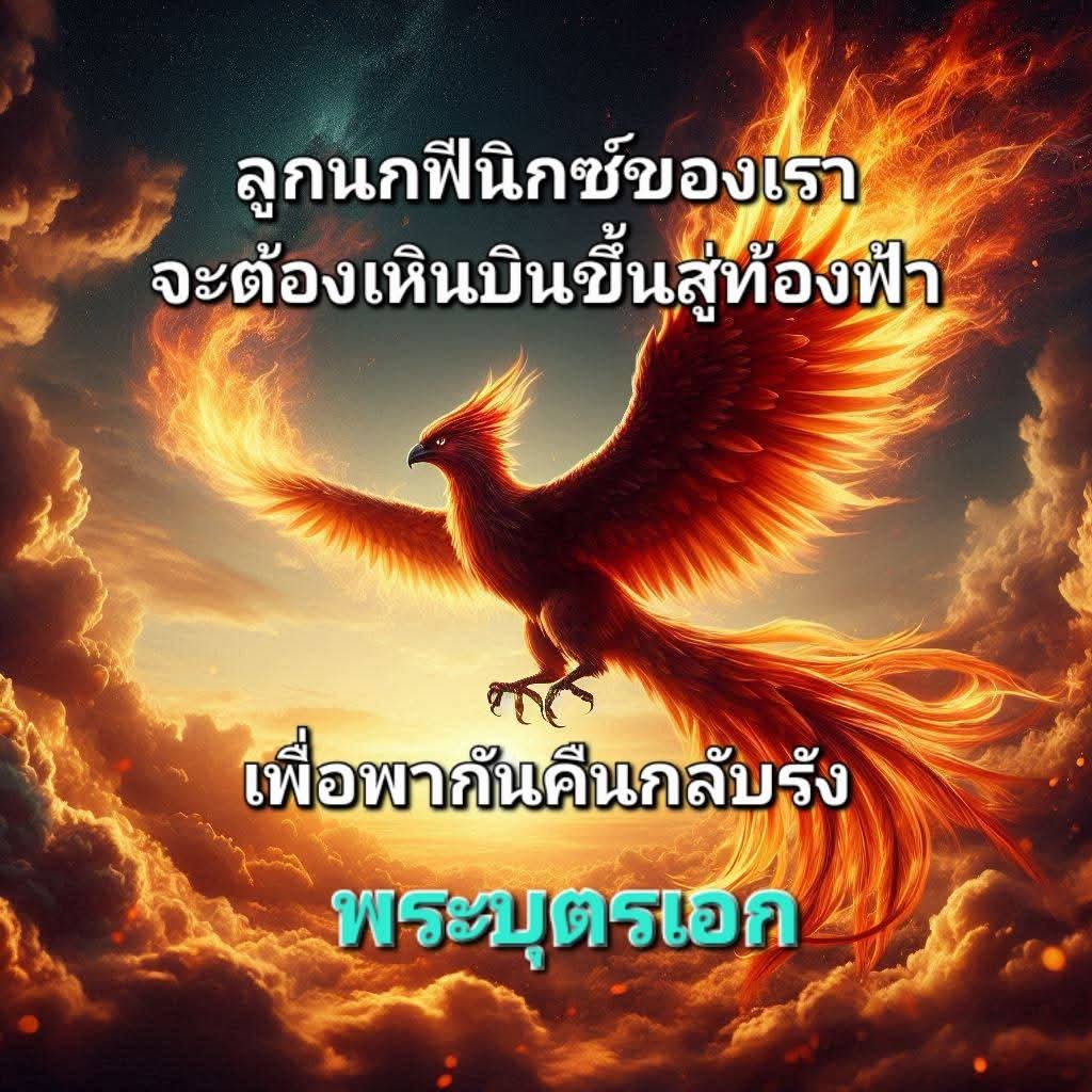 FB_IMG_1743825086318.jpg