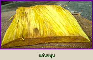 jackfruit-heartwood.jpg