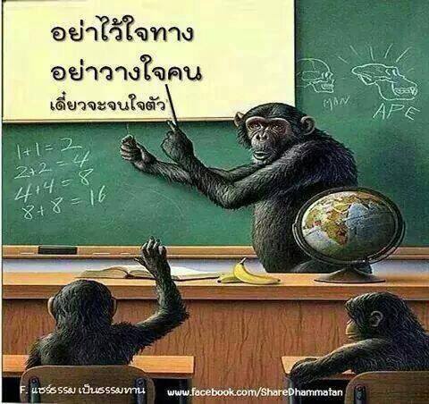 monkey teaching.jpg