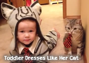 toddler-dresses-like-her-cat.jpg