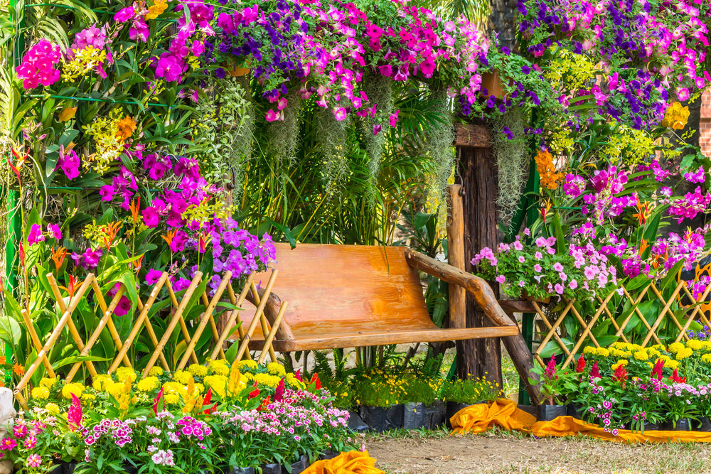 Tuesday 32-colorful-garden.jpg