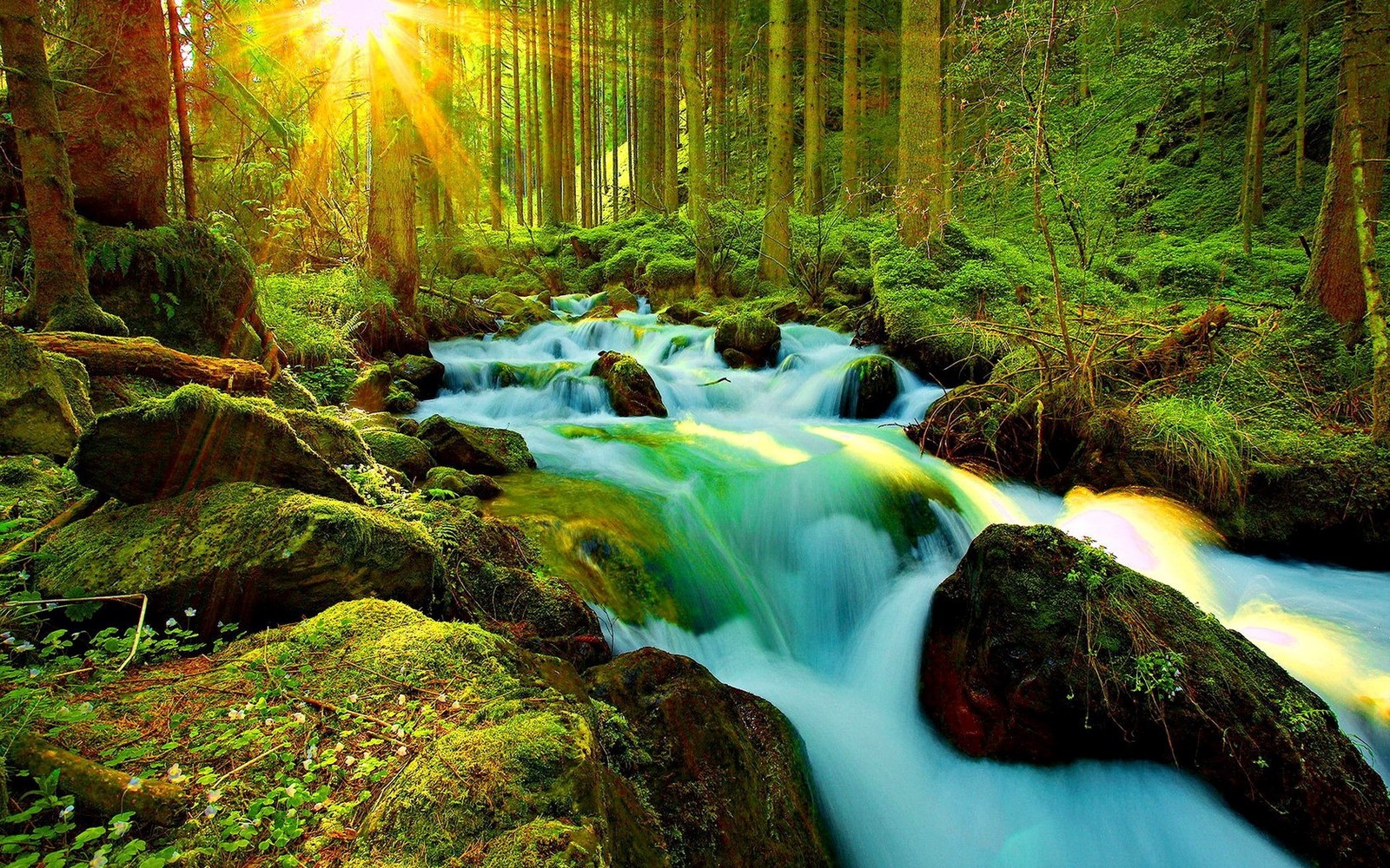 ViewForestWaterfall.jpg